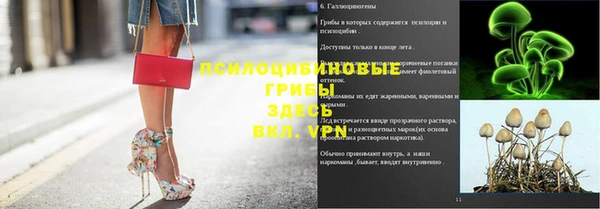 альфа пвп Гусиноозёрск