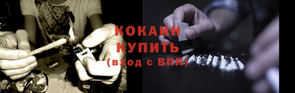 стаф Медногорск
