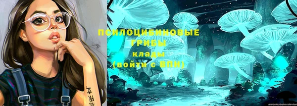 кокаин Гусь-Хрустальный