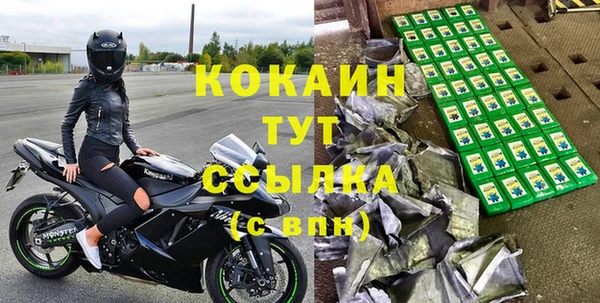 ПСИЛОЦИБИНОВЫЕ ГРИБЫ Горняк