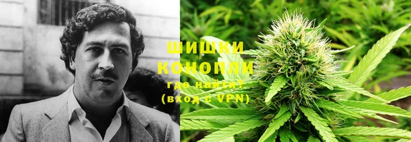 альфа пвп Гусиноозёрск