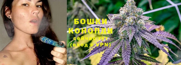 дурь Горнозаводск