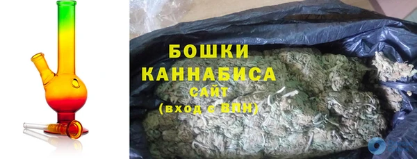 альфа пвп Гусиноозёрск
