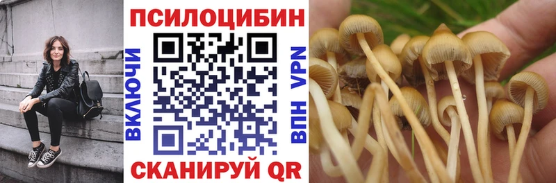 купить наркотик  Зерноград  Галлюциногенные грибы Magic Shrooms 