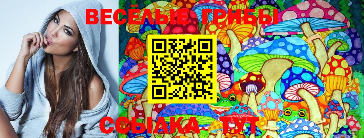 Псилоцибиновые грибы Psilocybe Зерноград